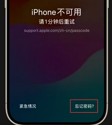 茅箭苹果手机密码维修分享iPhone忘记了刚设置的密码 