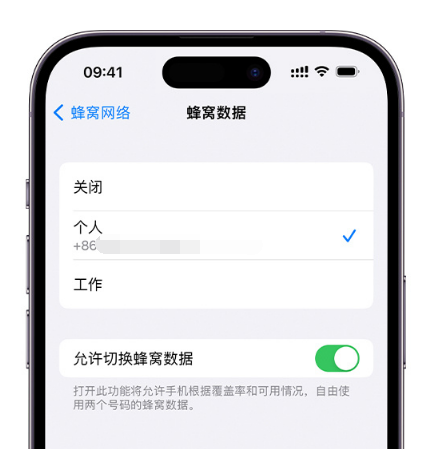 茅箭苹果维修服务分享如何在iPhone上使用双卡 